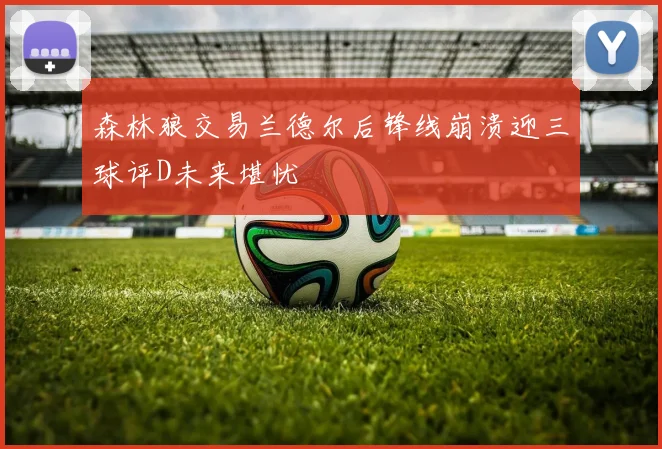 森林狼交易兰德尔后锋线崩溃迎三球评D未来堪忧